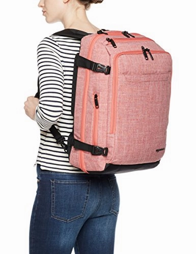 Amazon Basics Slim Carry On Laptop Travel Weekender Backpack - Salmon