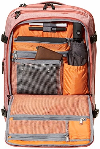 Amazon Basics Slim Carry On Laptop Travel Weekender Backpack - Salmon