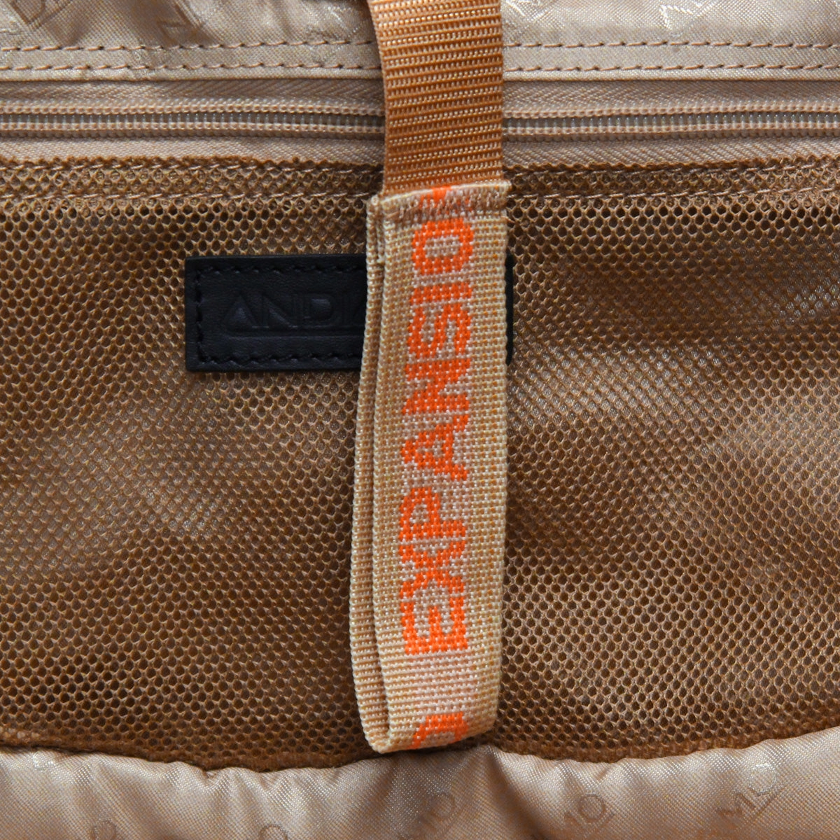 Andiamo Avanti 22In Auto-Expand Carry On
