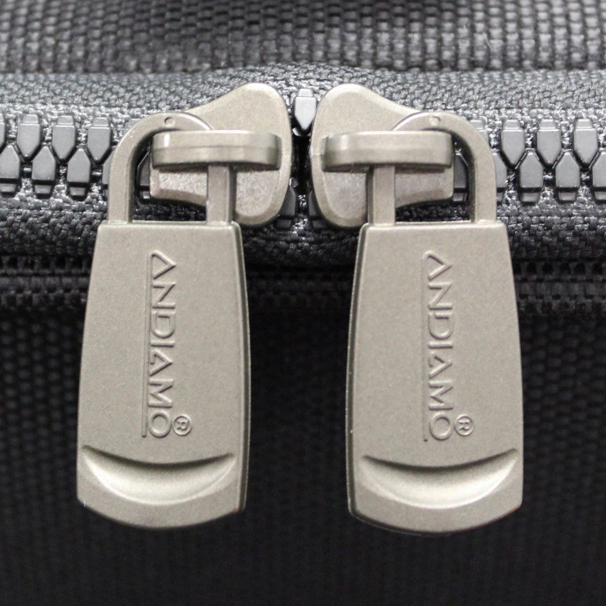 Andiamo Avanti 22In Auto-Expand Carry On