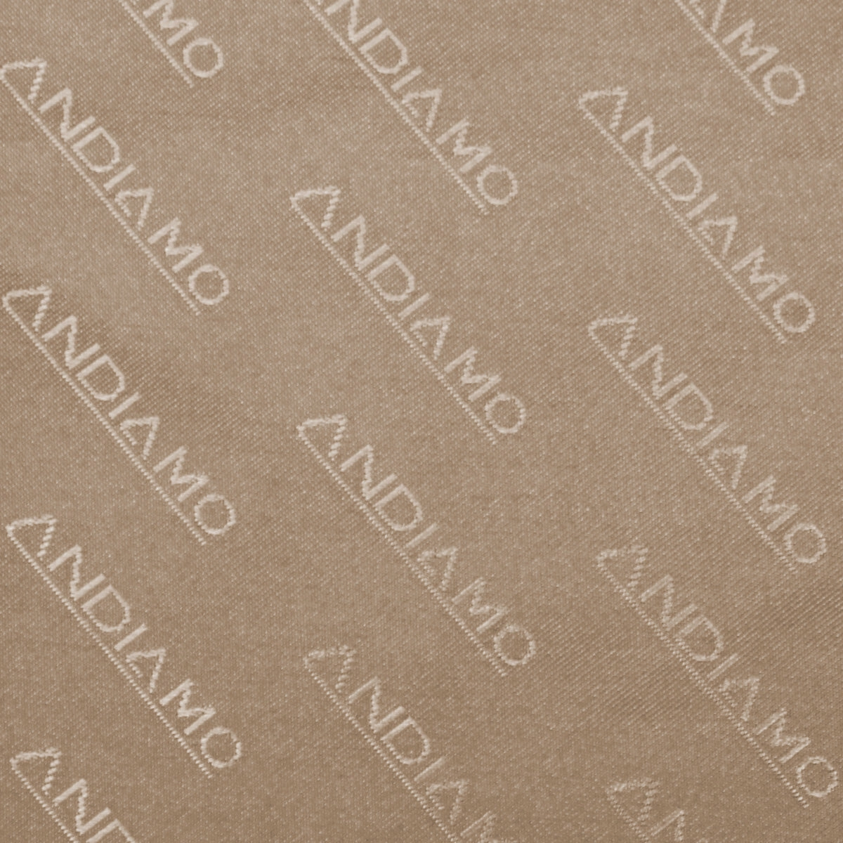 Andiamo Avanti 22In Auto-Expand Carry On