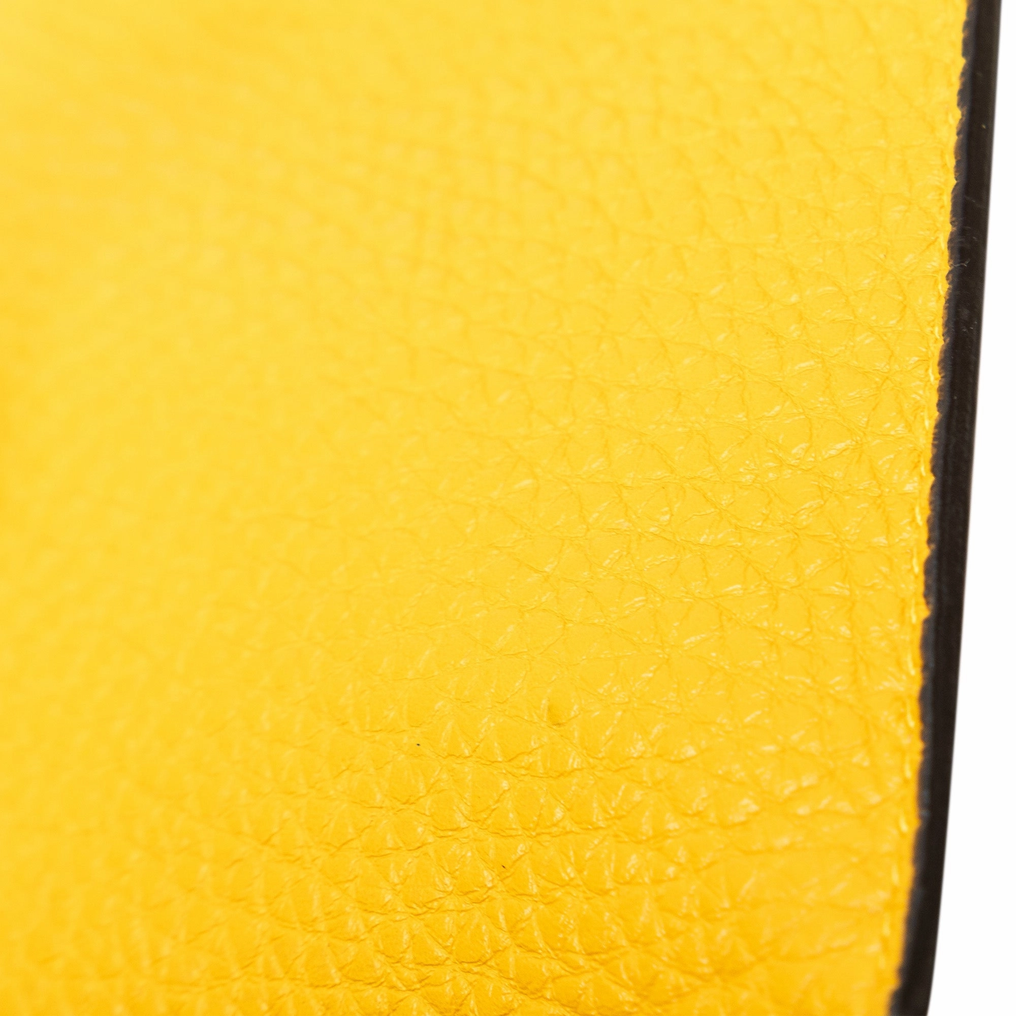 Baguette Phone Crossbody