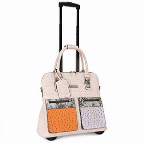 Cabrelli Dome Mix And Match Laptop Rollerbrief, Bone, One Size
