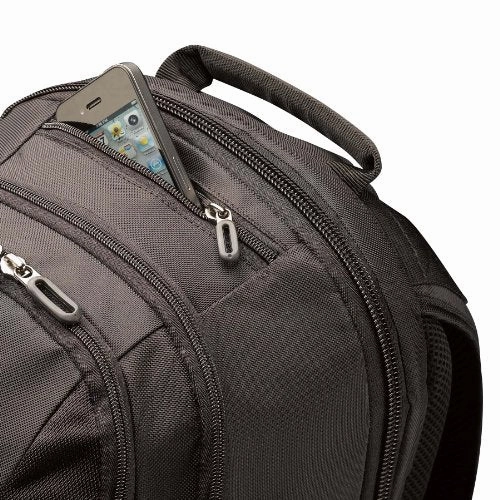 Case Logic 17.3-Inch Laptop Backpack (RBP-217)