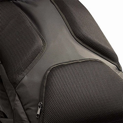 Case Logic 17.3-Inch Laptop Backpack (RBP-217)