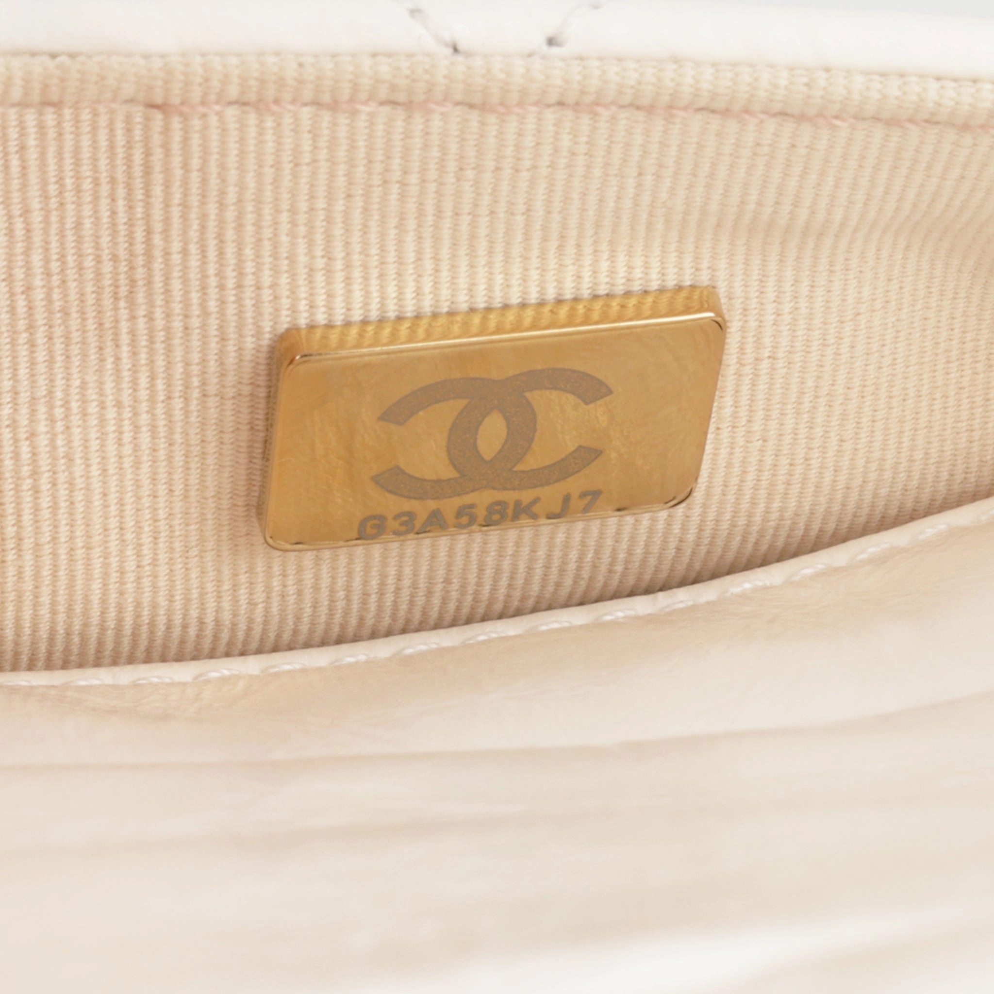 Chanel Cruise 2023 Hobo Bag