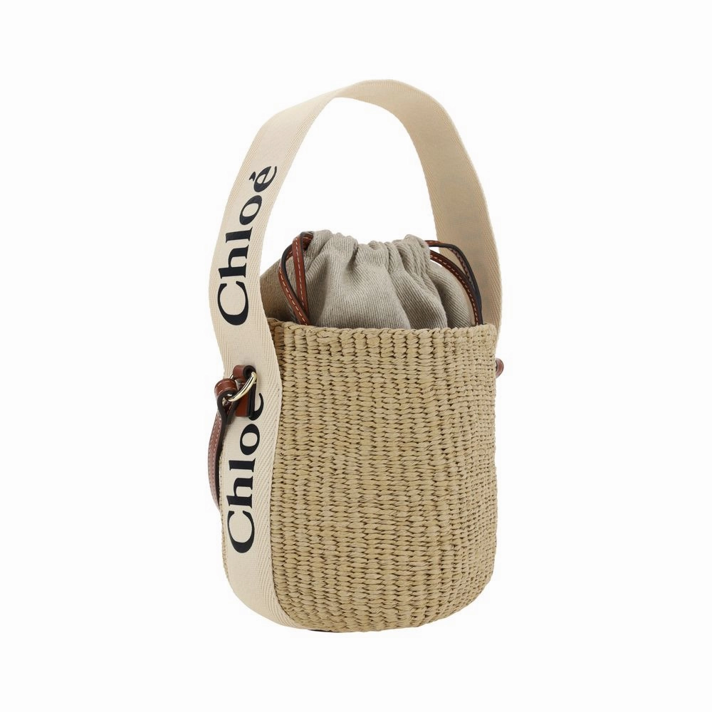 Chlo?? Mifuko Bucket Bag