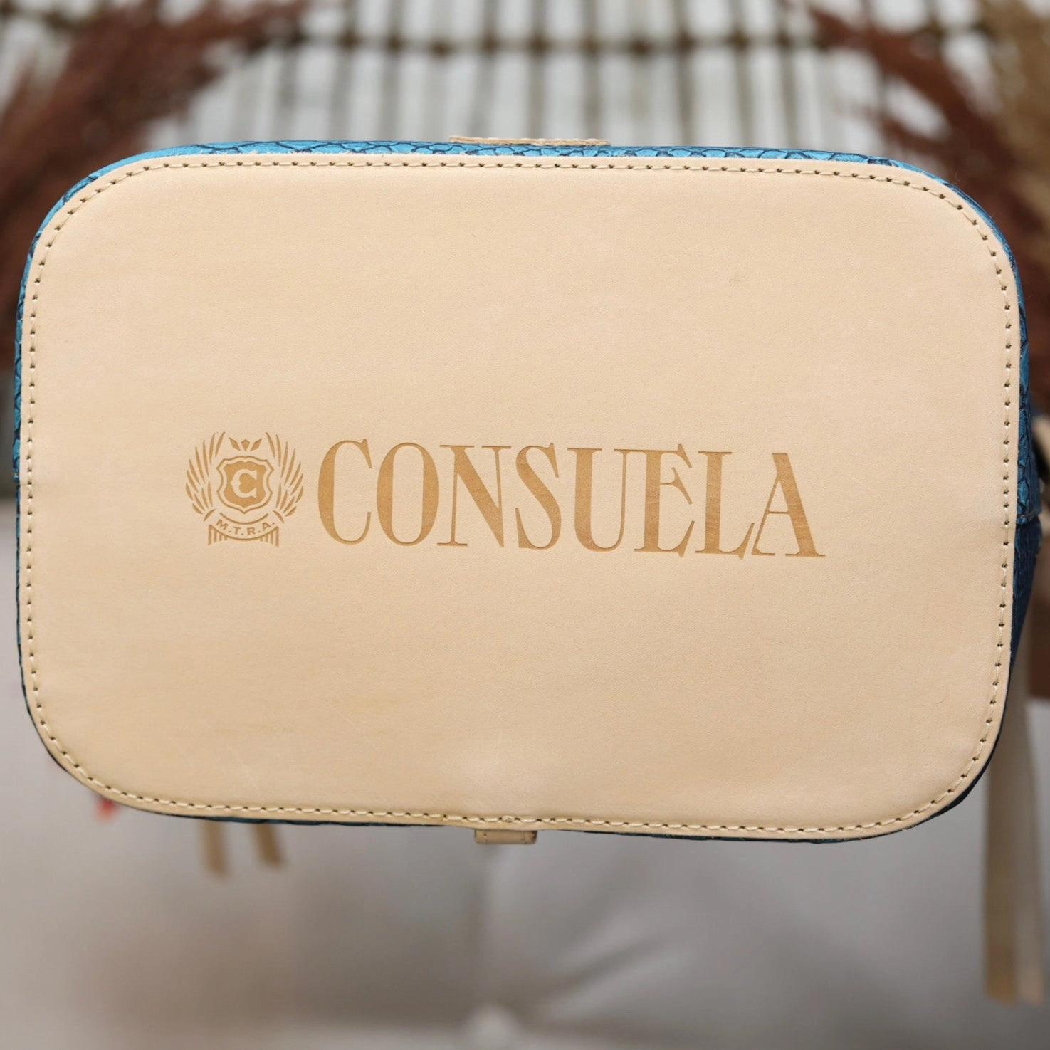 Consuela | Indy Sling Bag