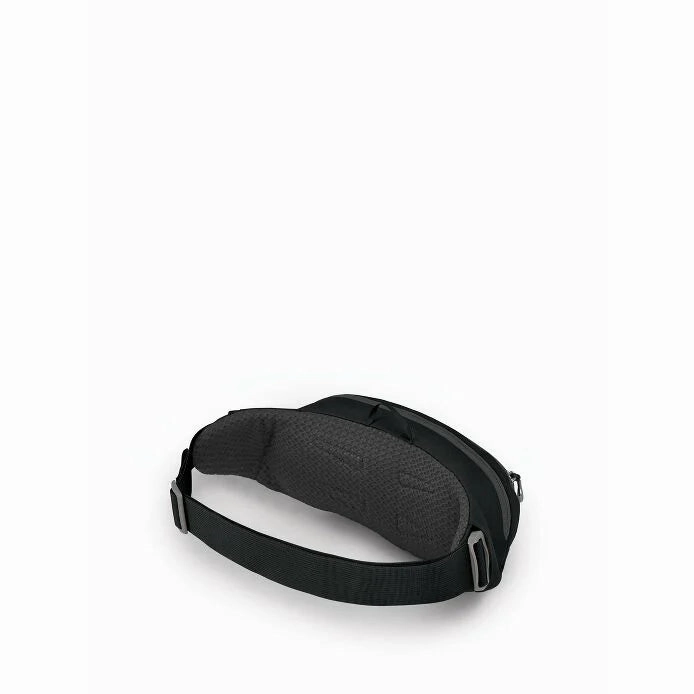 Daylite 2L Waist Pack