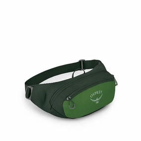 Daylite 2L Waist Pack