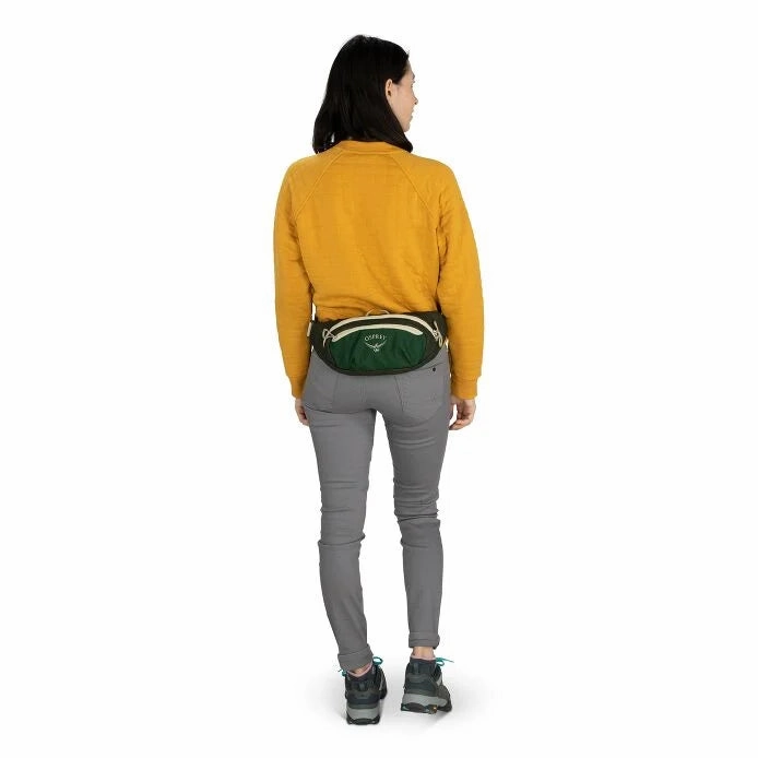 Daylite 2L Waist Pack