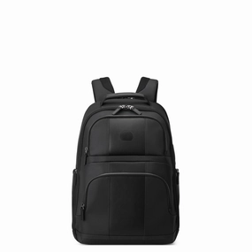 DELSEY PARIS Wagram Laptop Travel Backpack with 15.6" Laptop Sleeve