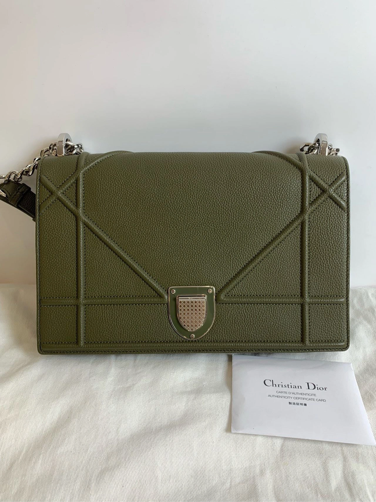 Dior Diorama M Olive Green Crossbody Bag