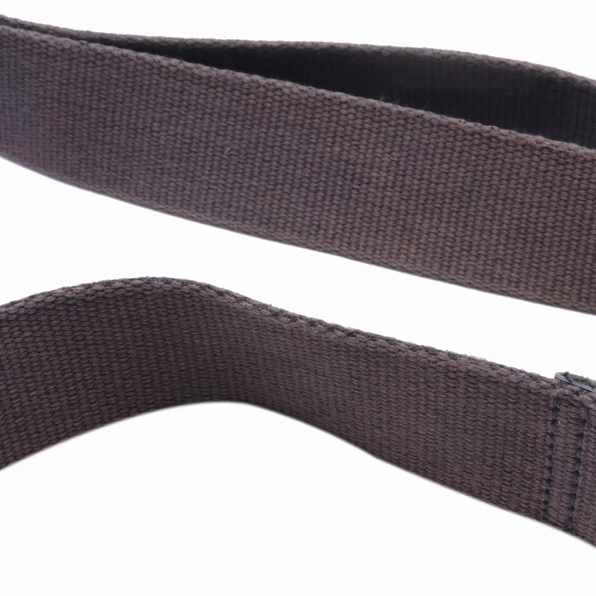 Diorissimo Trotter Canvas Double Saddle Crossbody