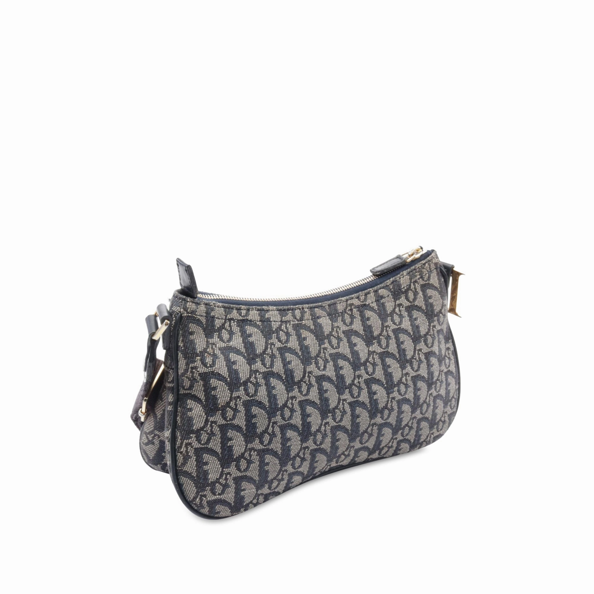 Diorissimo Trotter Canvas Double Saddle Crossbody