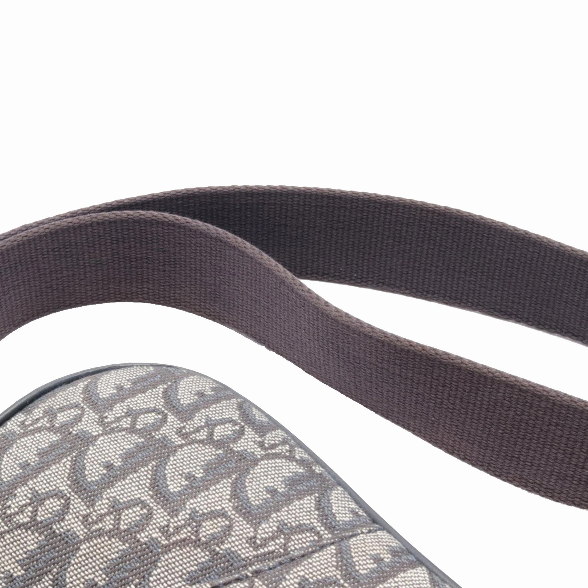Diorissimo Trotter Canvas Double Saddle Crossbody