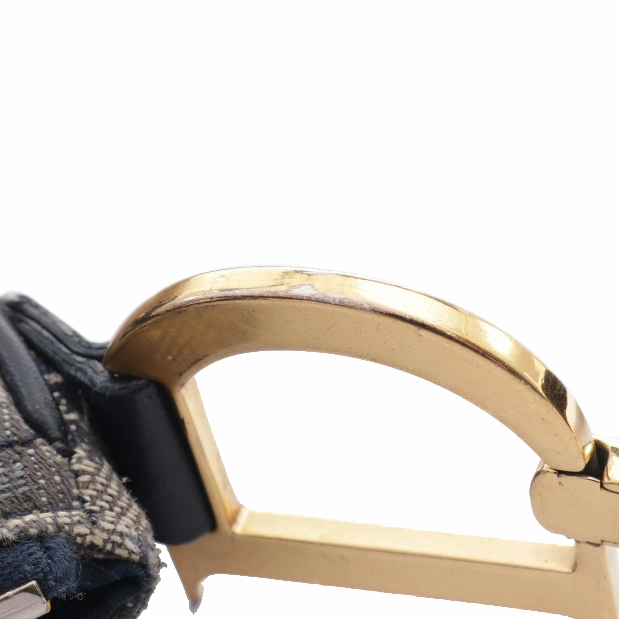 Diorissimo Trotter Canvas Double Saddle Crossbody