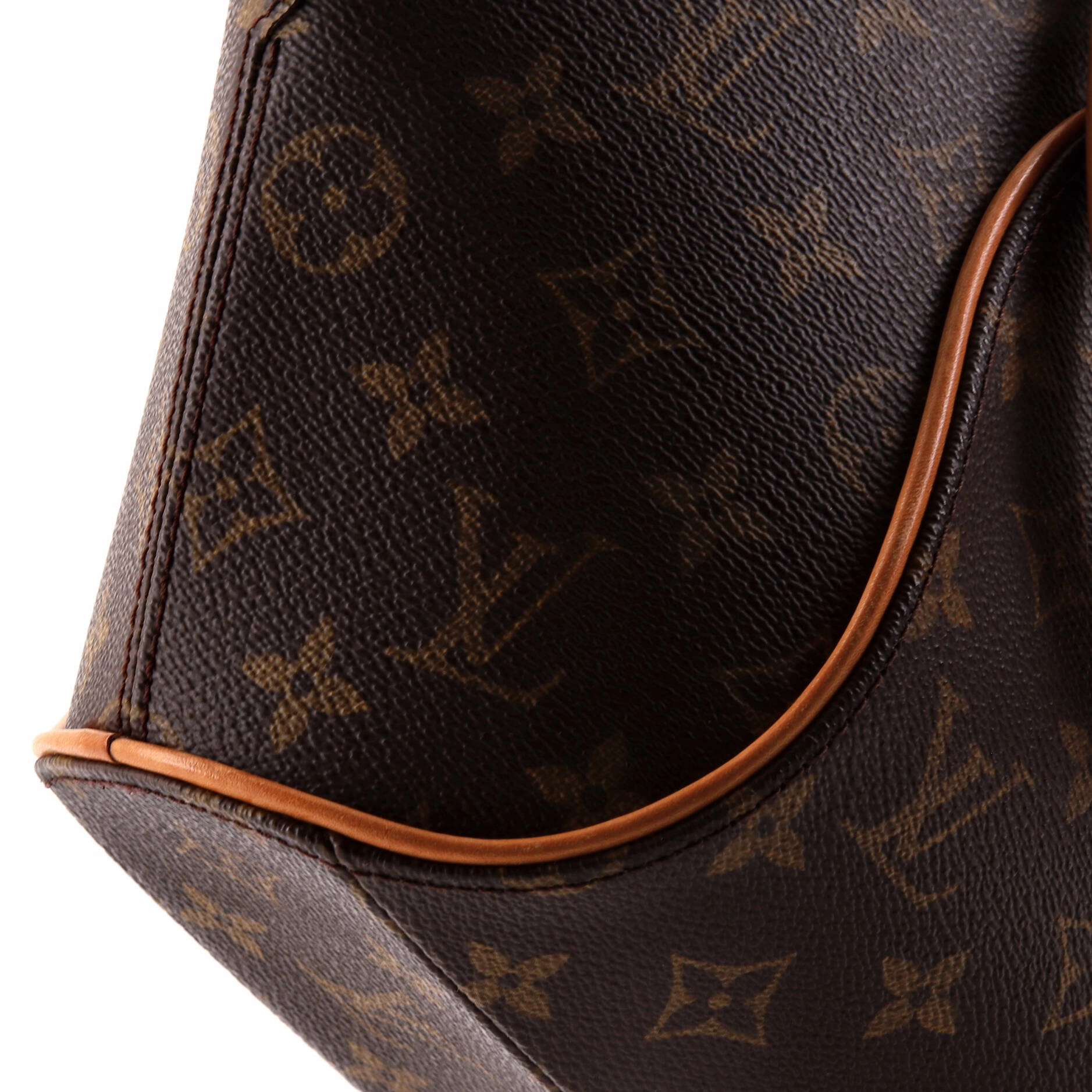 Ellipse Bag Monogram Canvas PM