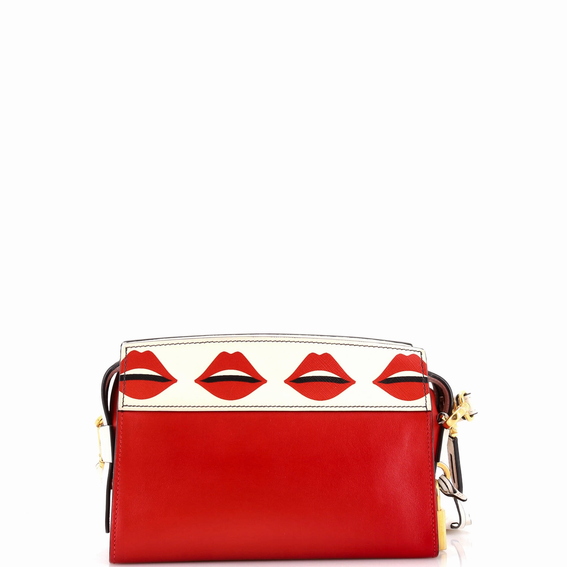 Esplanade Crossbody Bag Printed Saffiano and City Calf Small