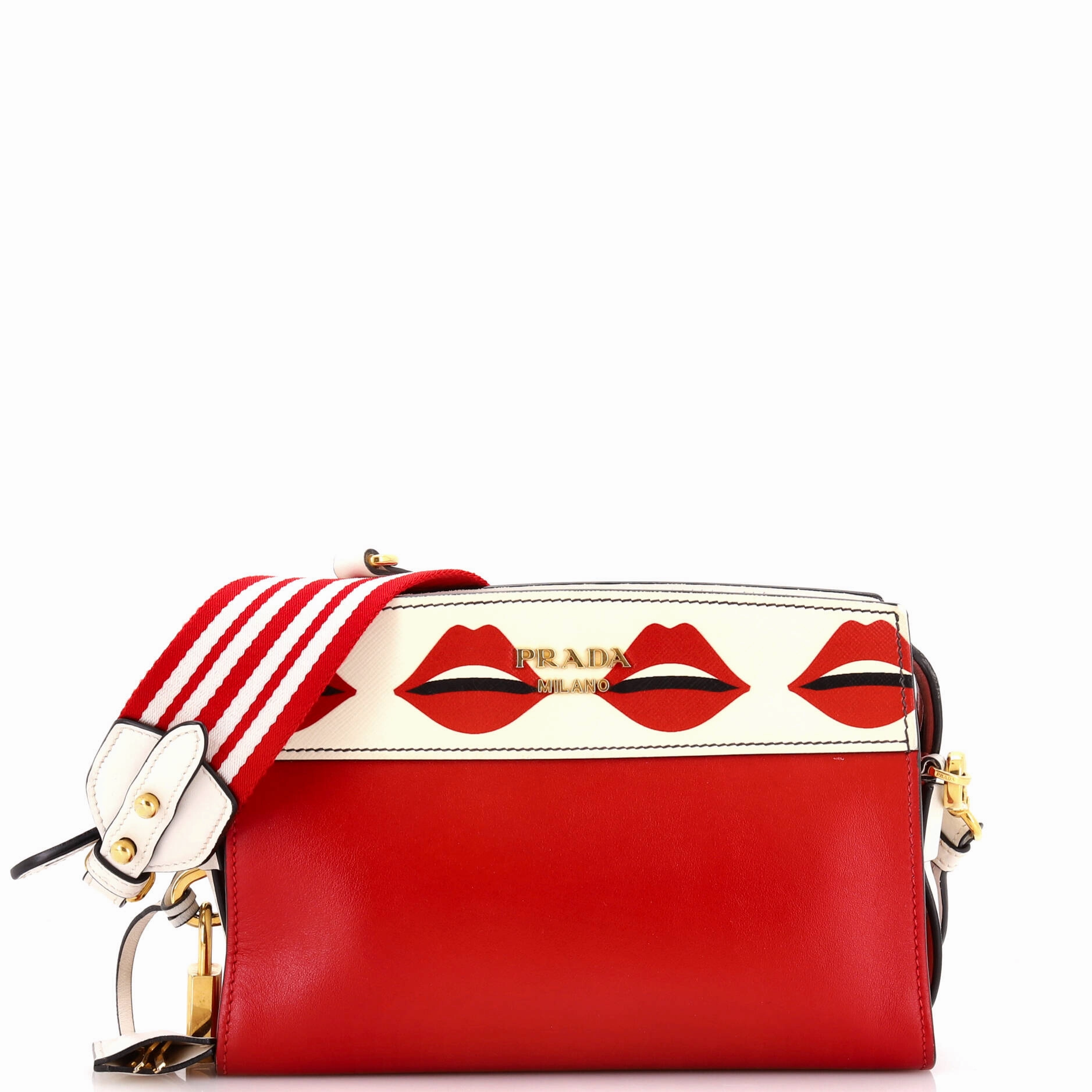 Esplanade Crossbody Bag Printed Saffiano and City Calf Small