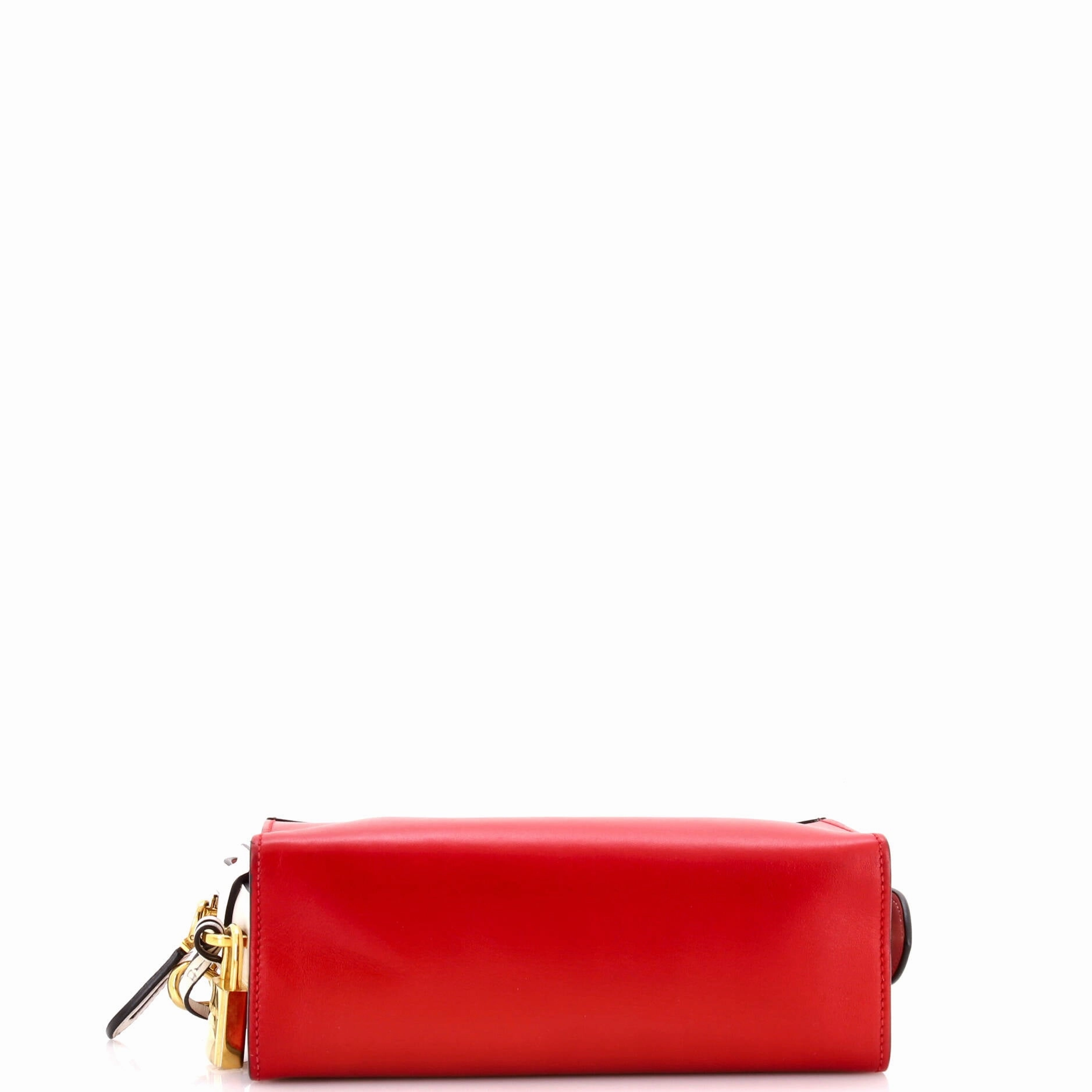 Esplanade Crossbody Bag Printed Saffiano and City Calf Small