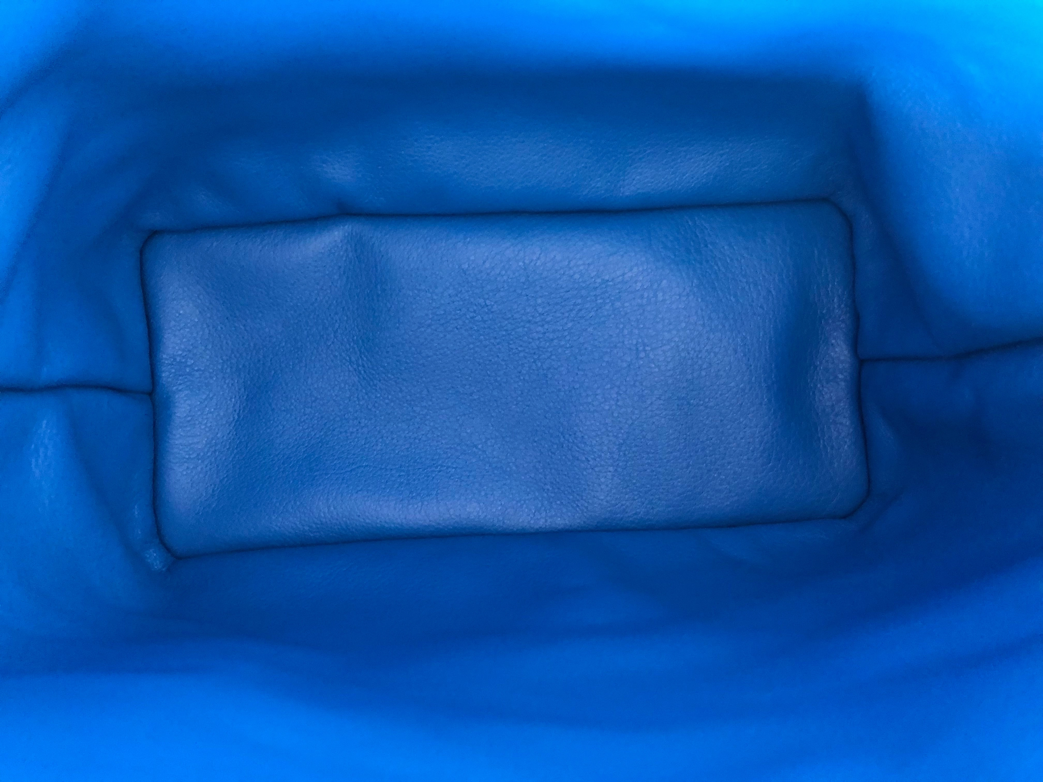 Goyard Anjou Mini Tote - Sky Blue (NWT)