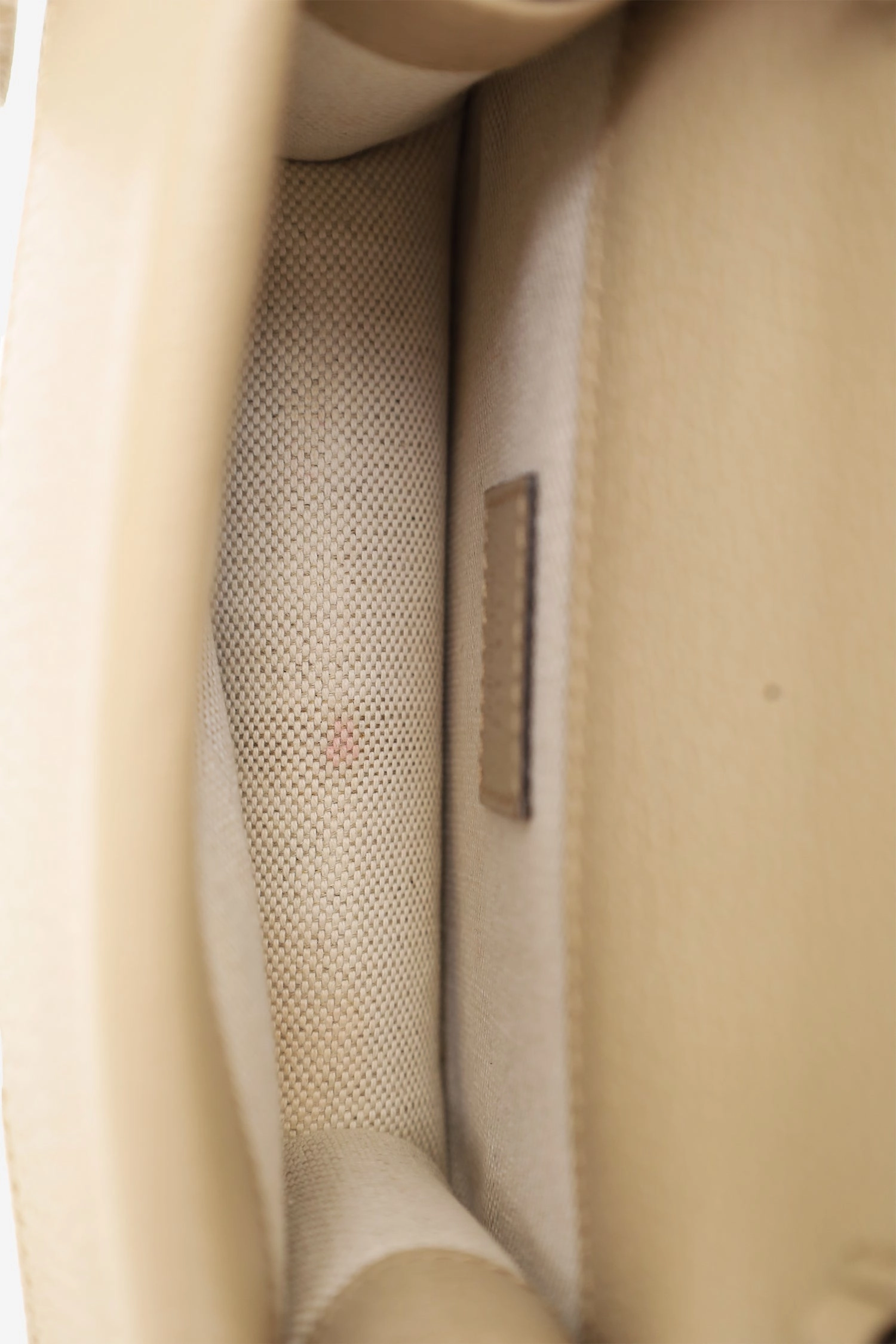 Gucci Beige GG Monogram Mini Dionysus Top Handle
