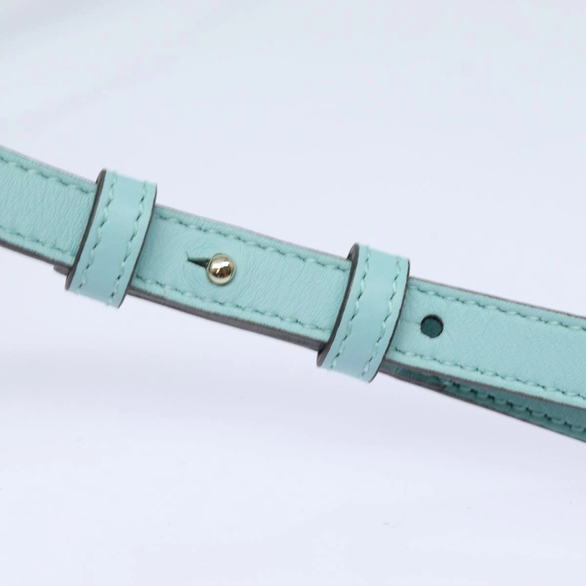GUCCI Shoulder Wallet Leather Light Blue 369664  mr248