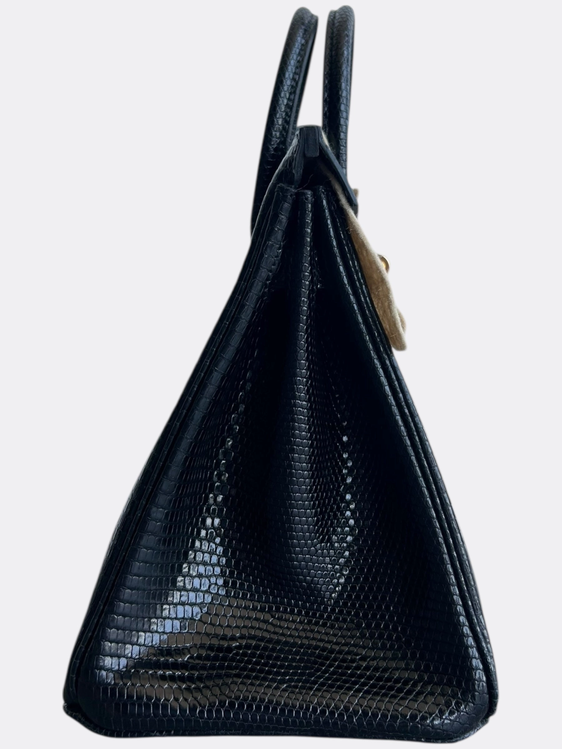 Hermes Black Lizard Birkin 25