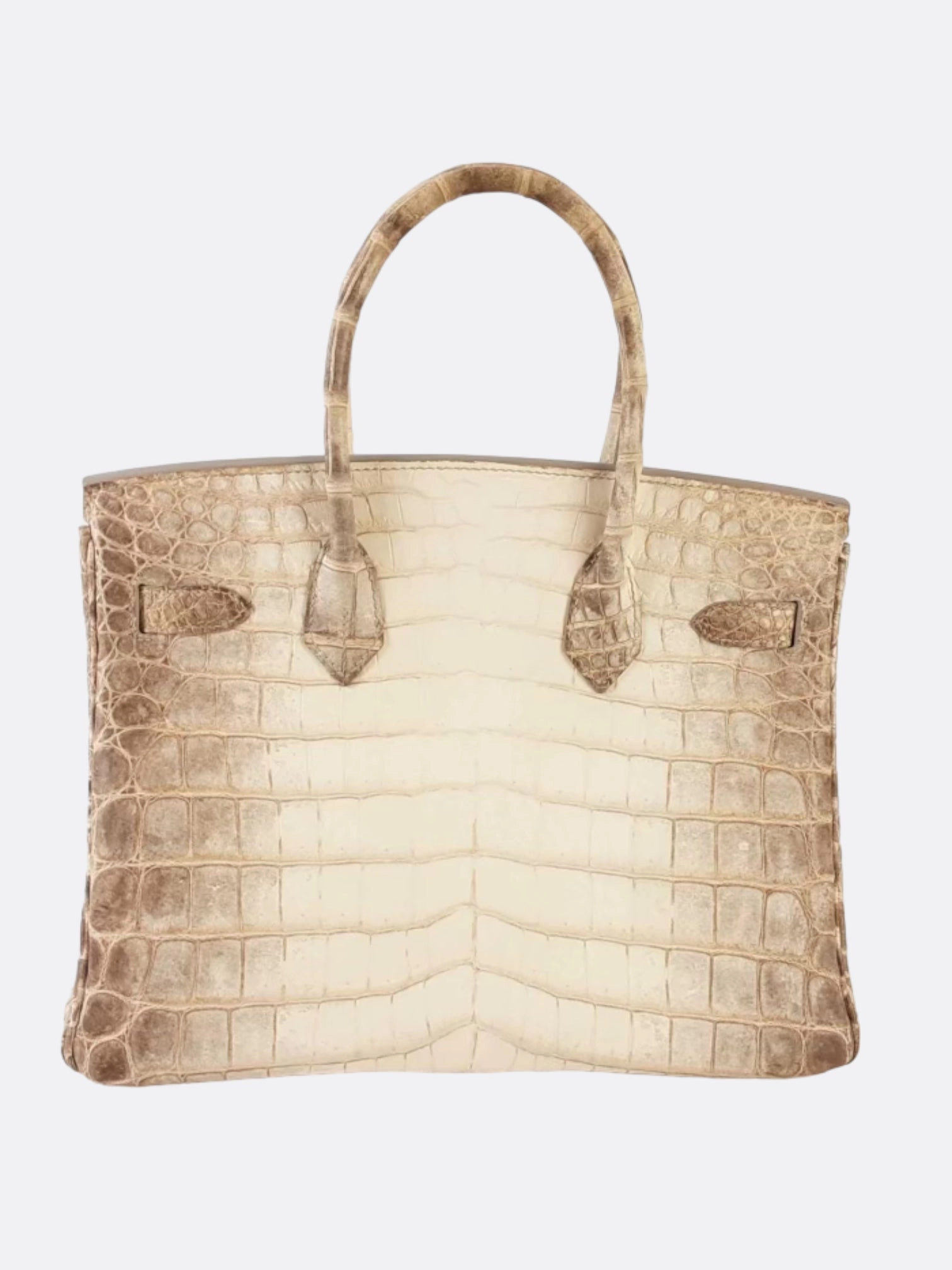 Herms Himalaya Matte Crocodile Skin Birkin 30