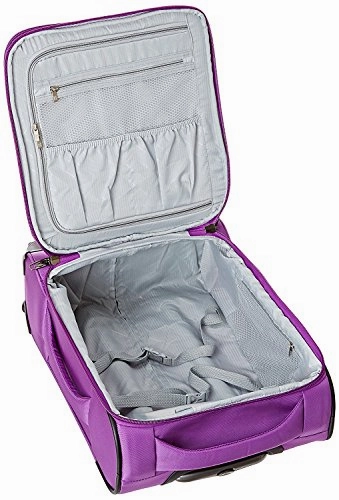IT Luggage Mega-Lite Premium 22 Inch Carry On