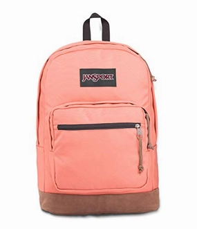 JanSport Right Pack Backpack - School, Travel, Work, or Laptop Bookbag with Leather Bottom, Crabapple