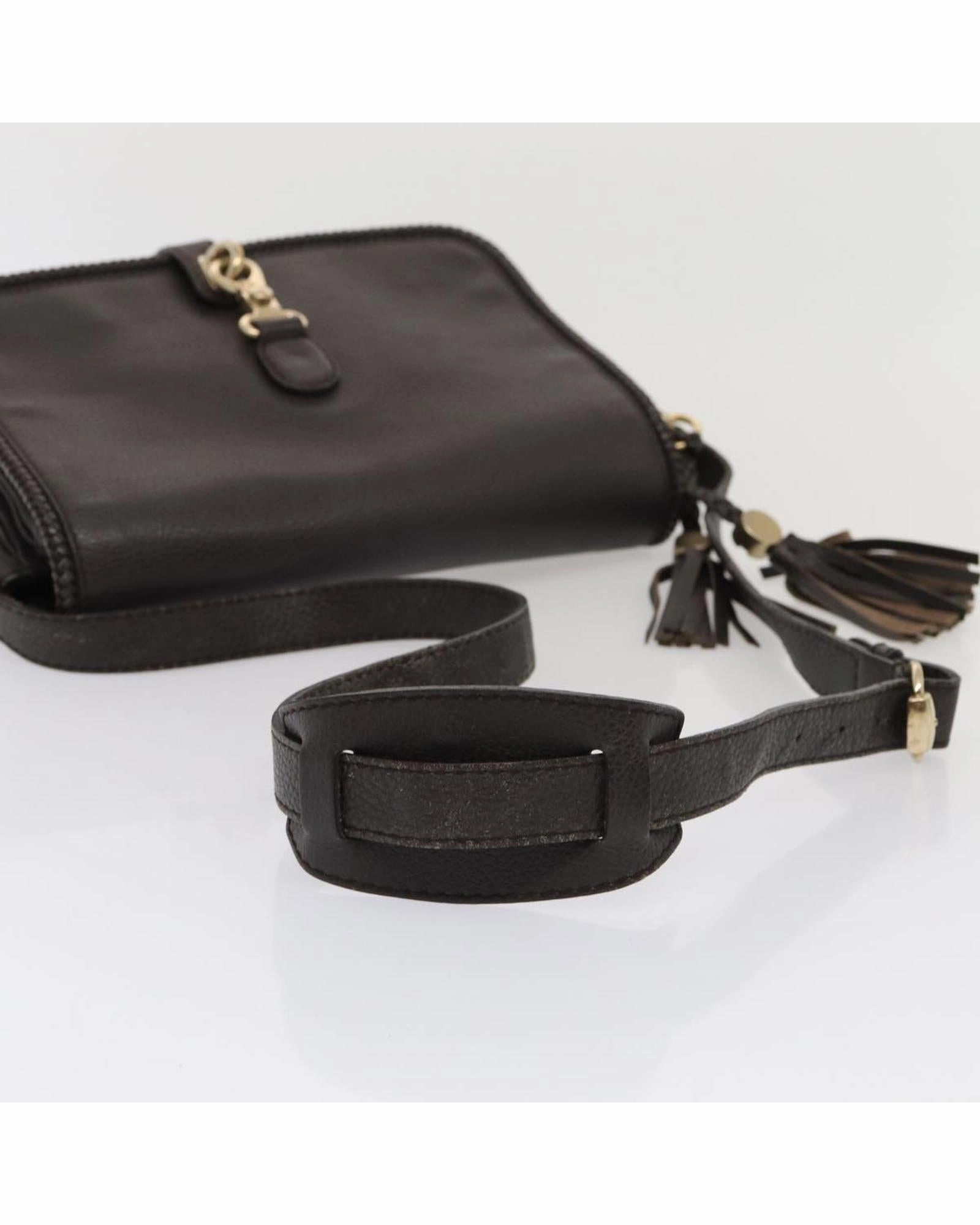 Leather Crossbody BagModel