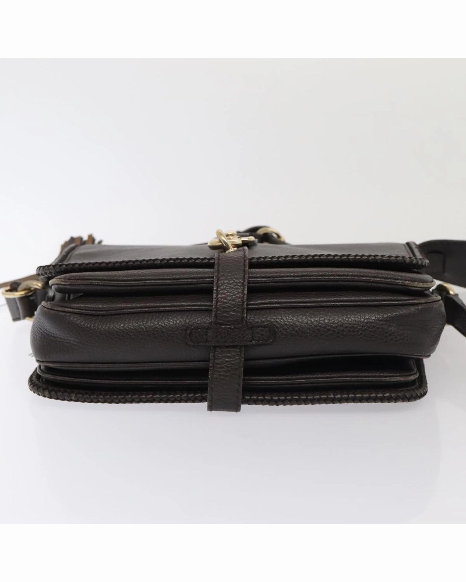 Leather Crossbody BagModel