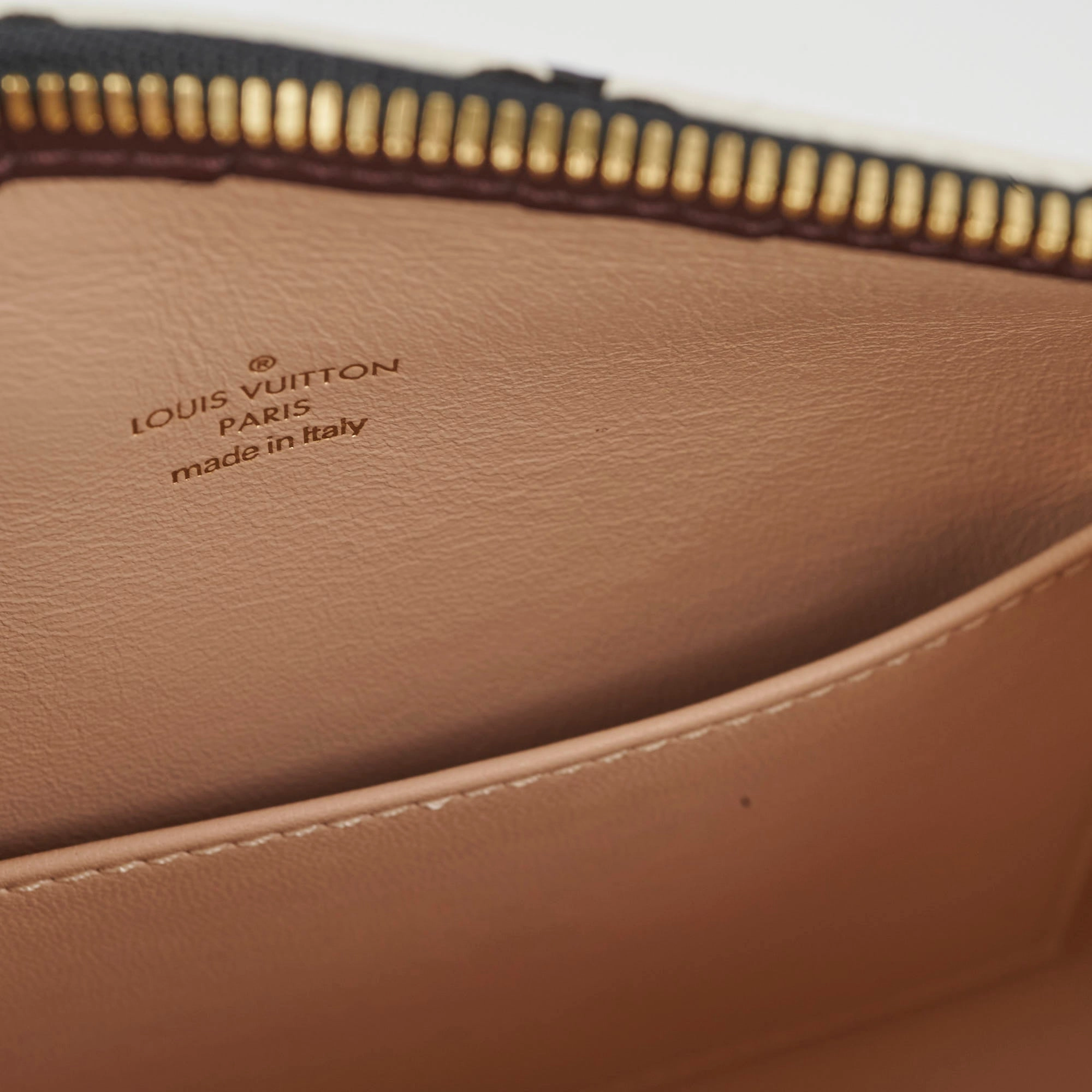Louis Vuitton Amazon Speedy PM Monogram