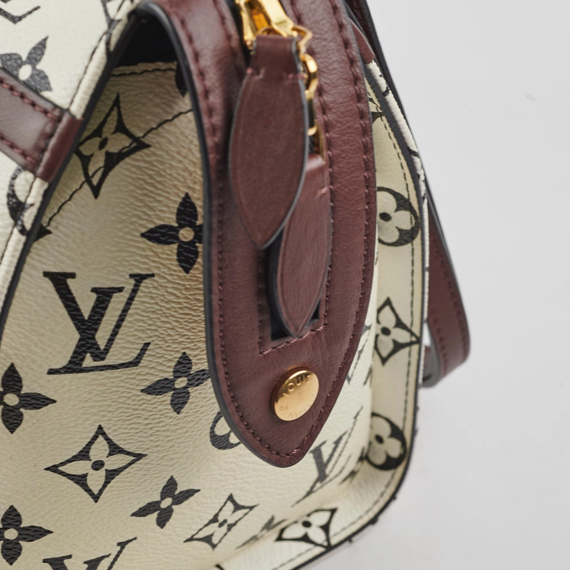 Louis Vuitton Amazon Speedy PM Monogram