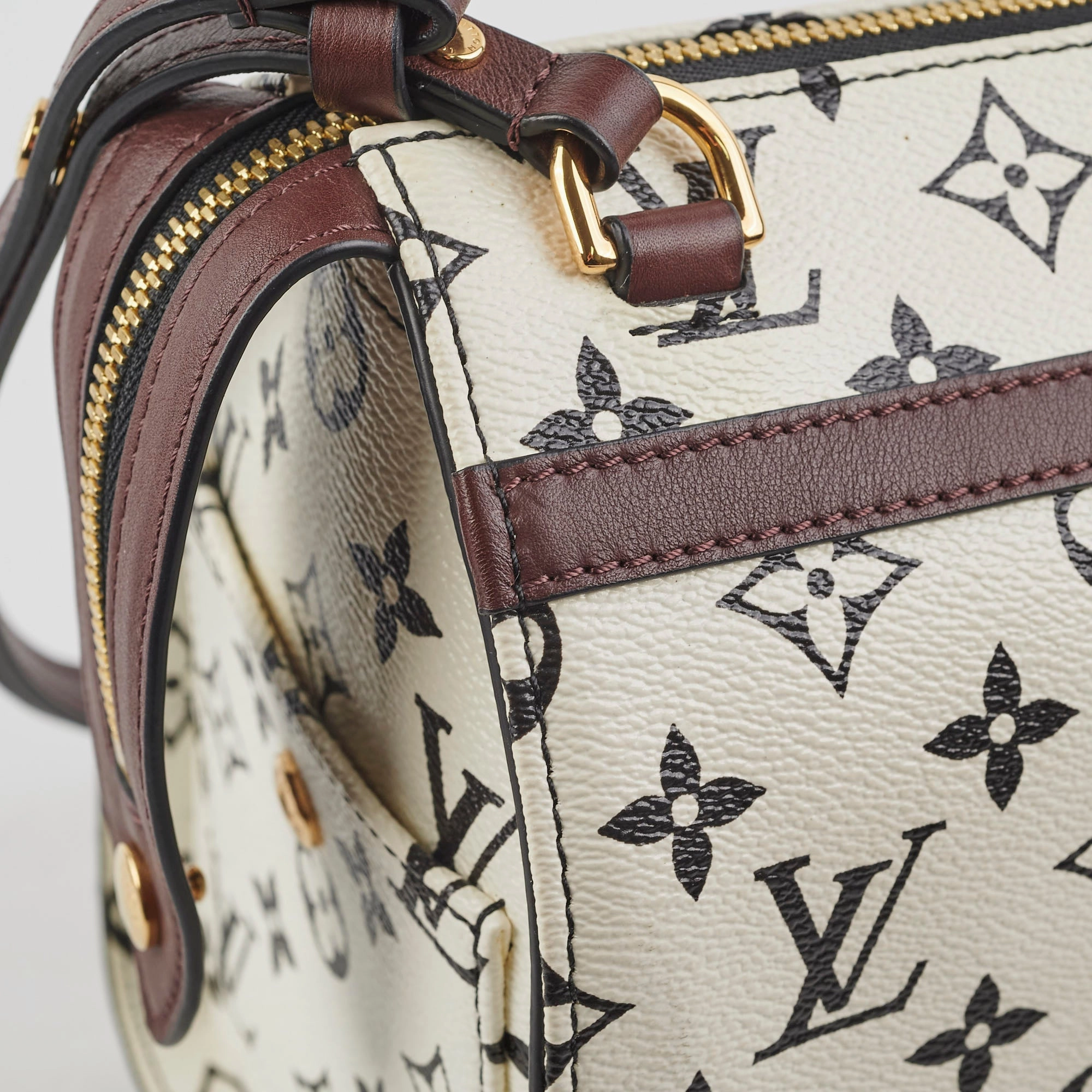 Louis Vuitton Amazon Speedy PM Monogram