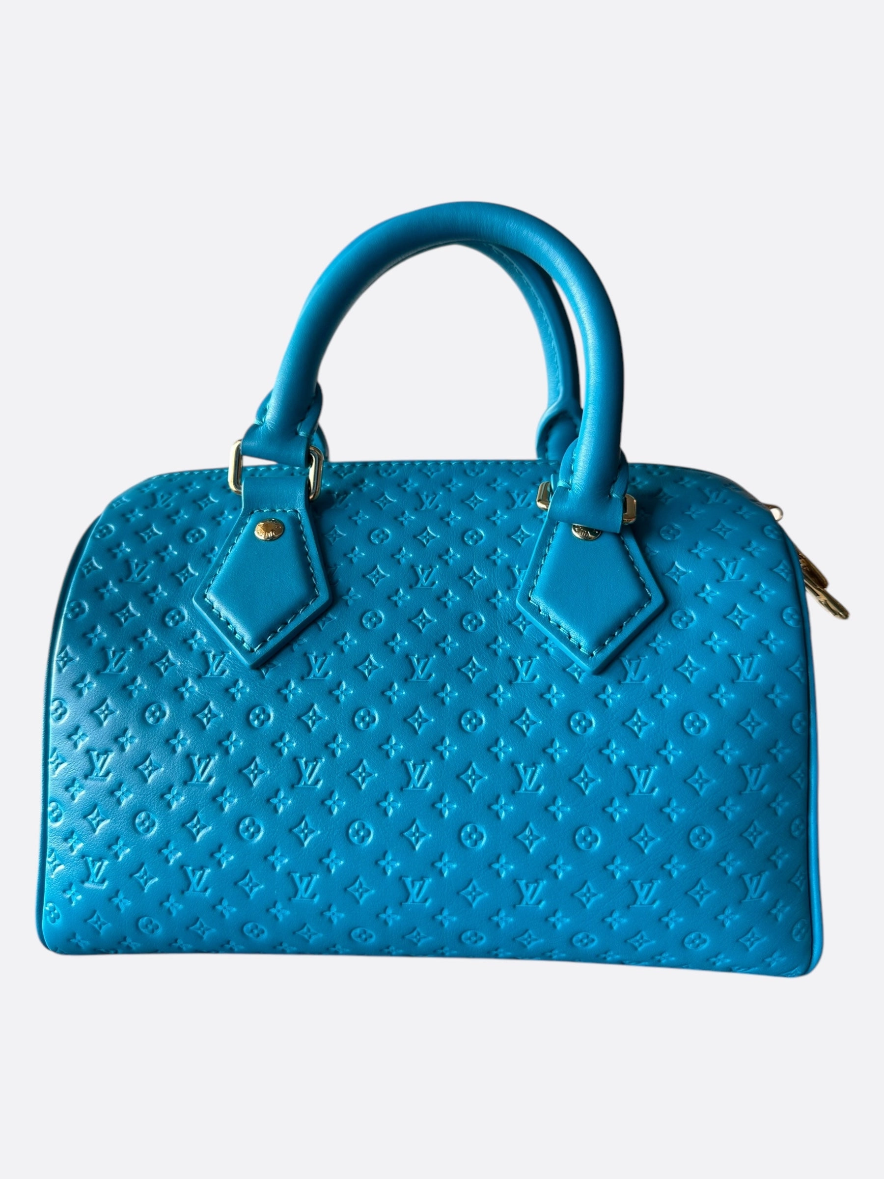 Louis Vuitton Blue Nano Monogram Speedy 20