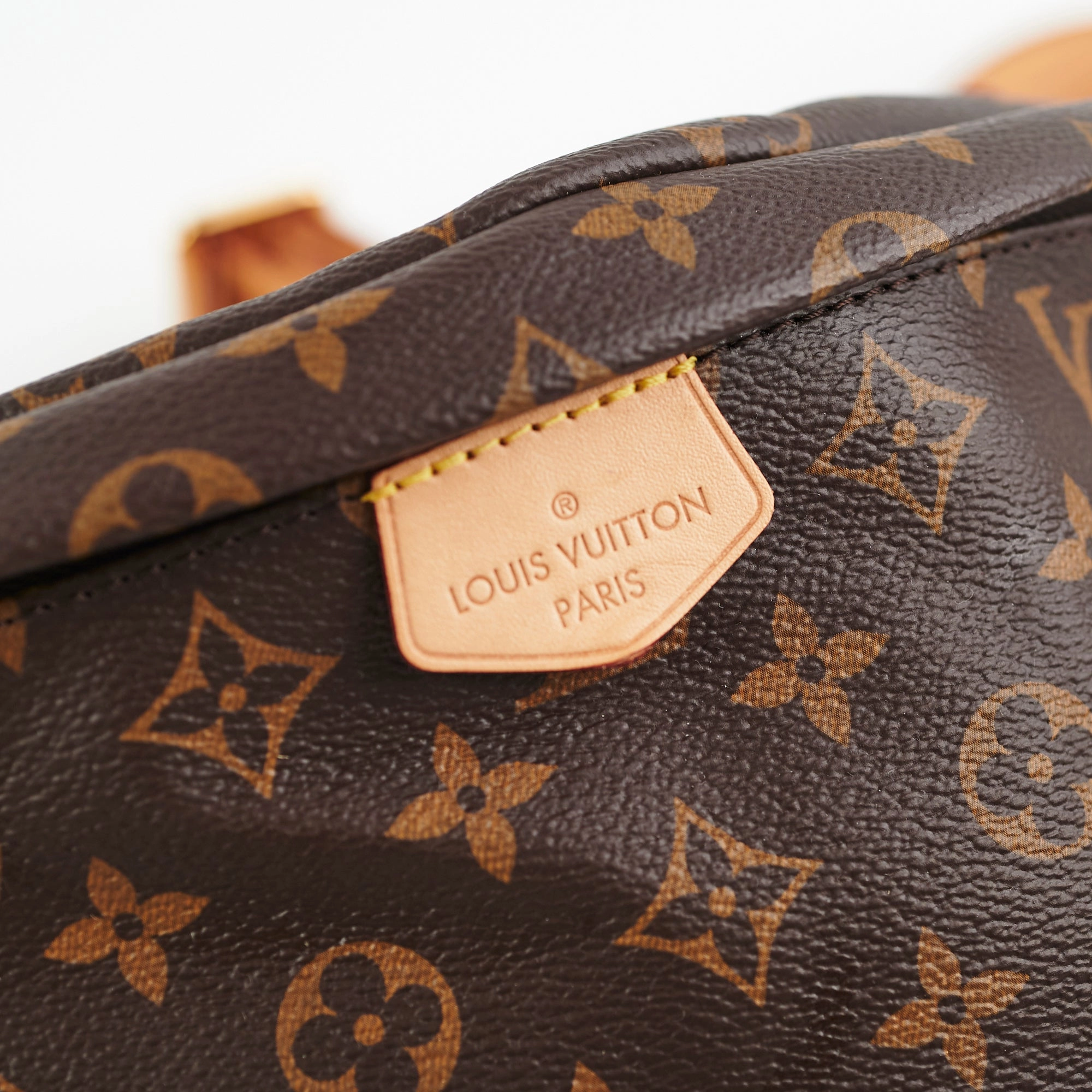 Louis Vuitton Bum bag MM Monogram