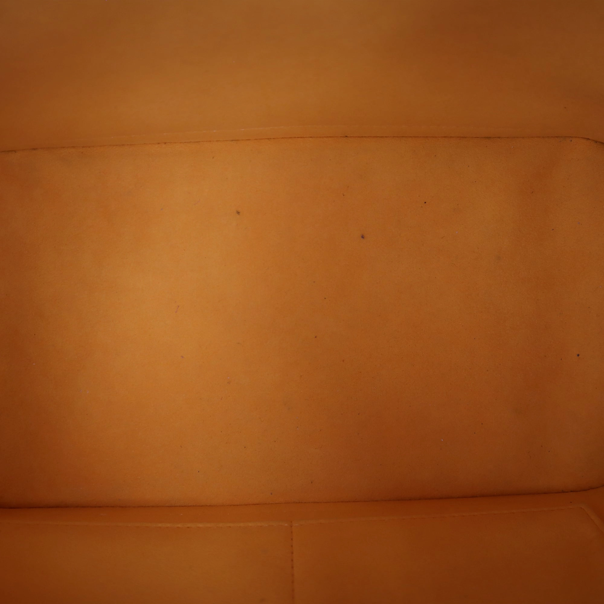 Louis Vuitton Epi Alma PM Shoulder Bag FL2183