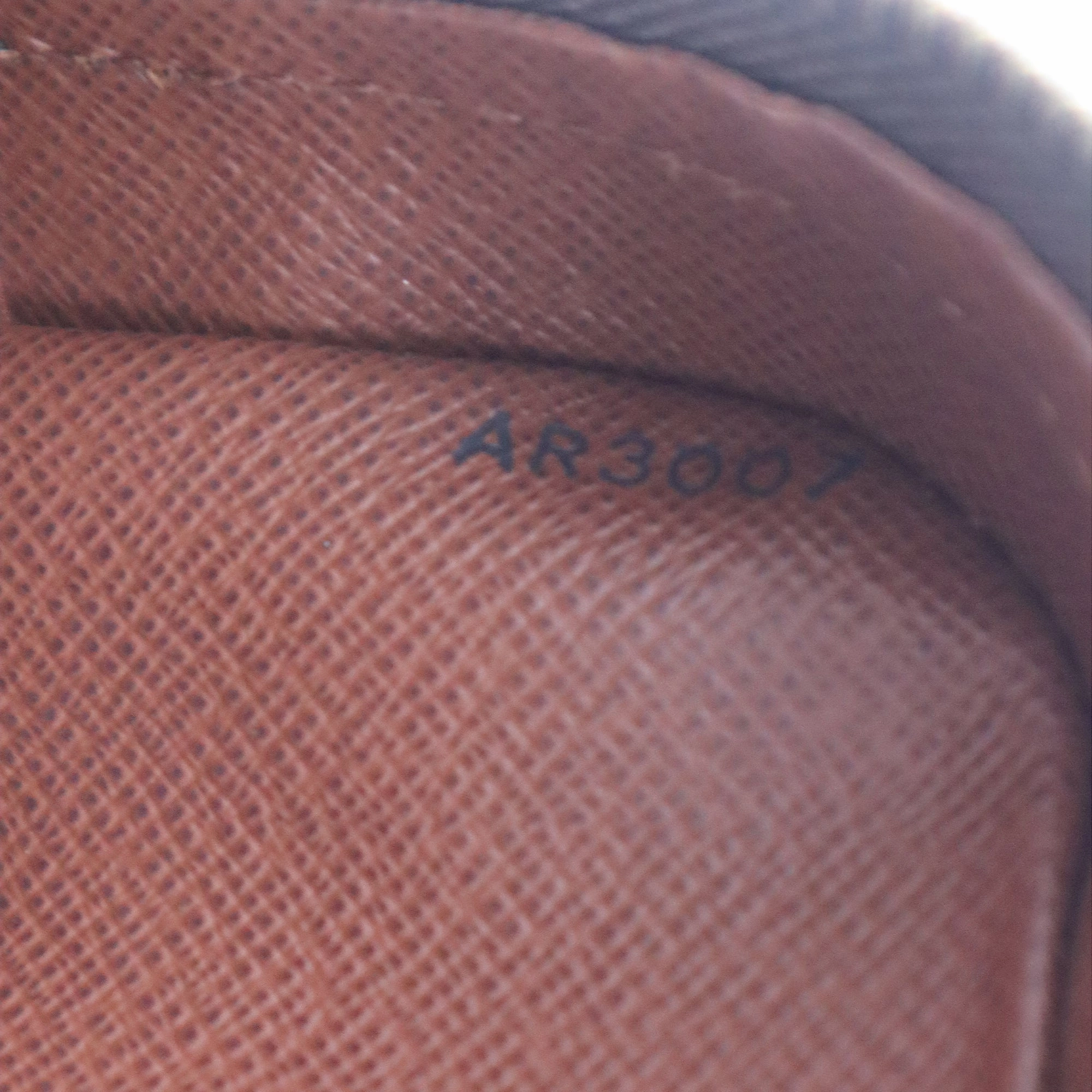 Louis Vuitton Monogram Nile Crossbody Bag AR3007