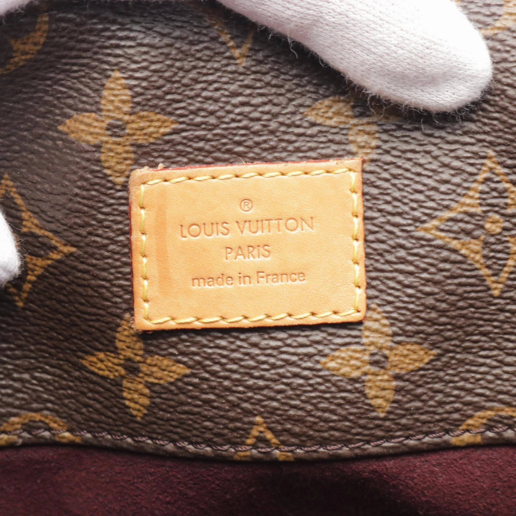 Louis Vuitton Monogram PVC Leather Shoulder Bag