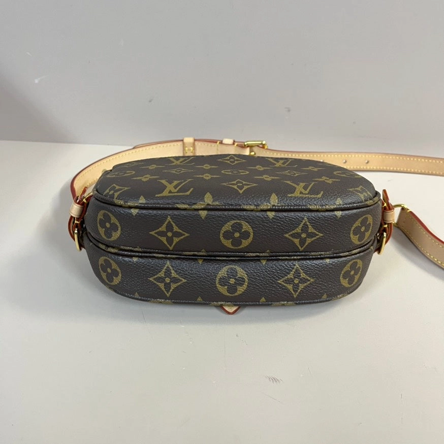 Louis Vuitton Monogram Saumur BB Crossbody Brown