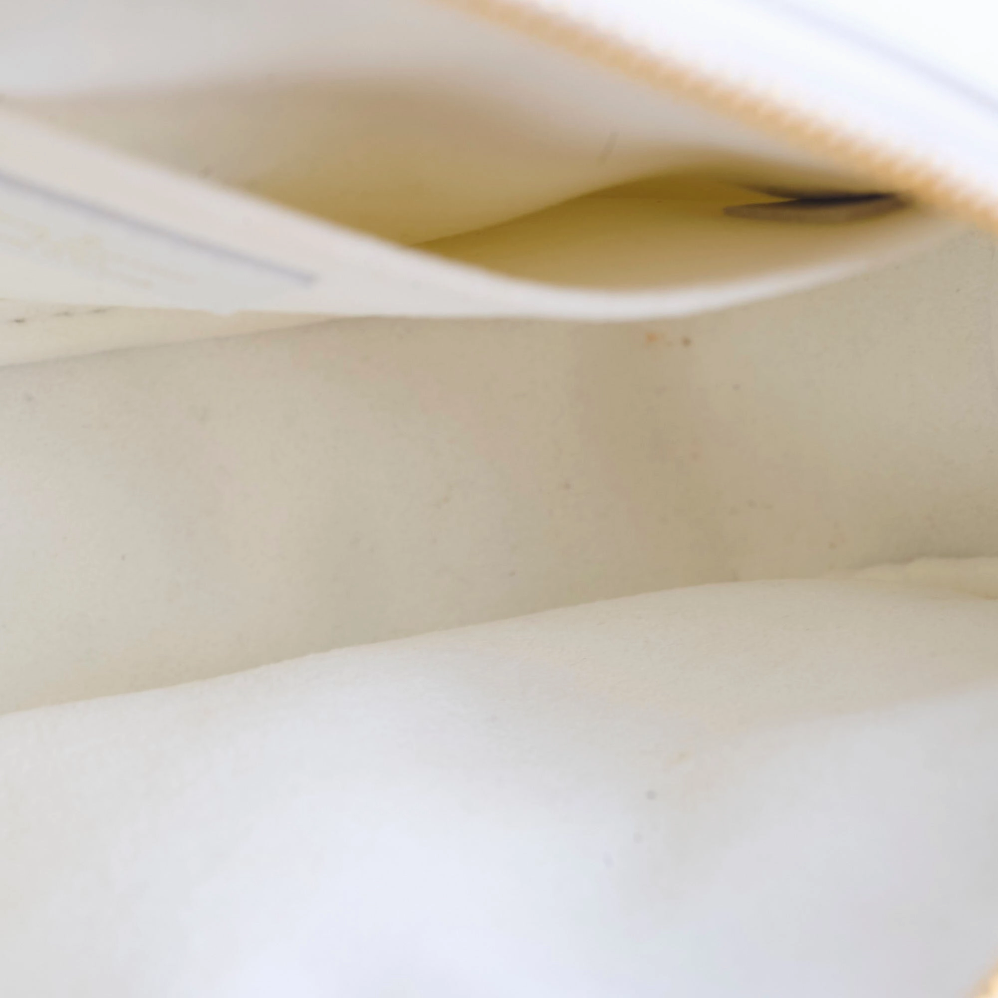 Louis Vuitton New Wave Bag White