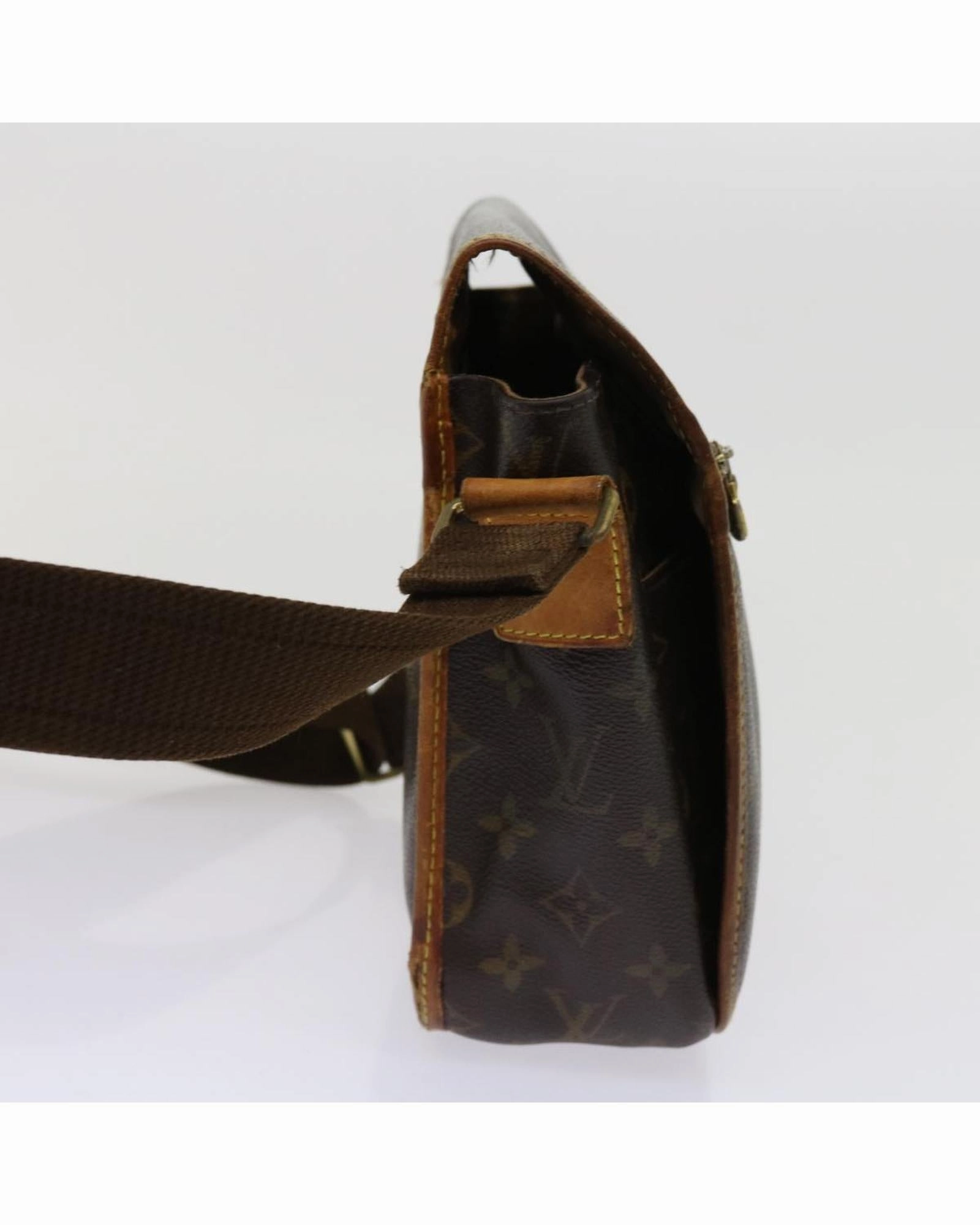 Monogram Canvas Pochette Crossbody Bag
