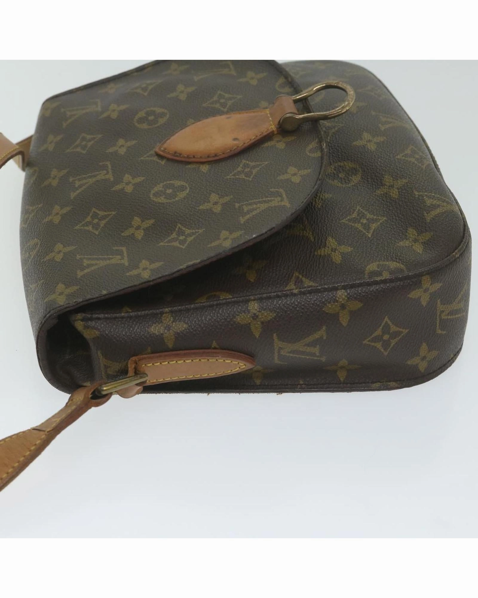 Monogram Canvas Postine Shoulder Bag