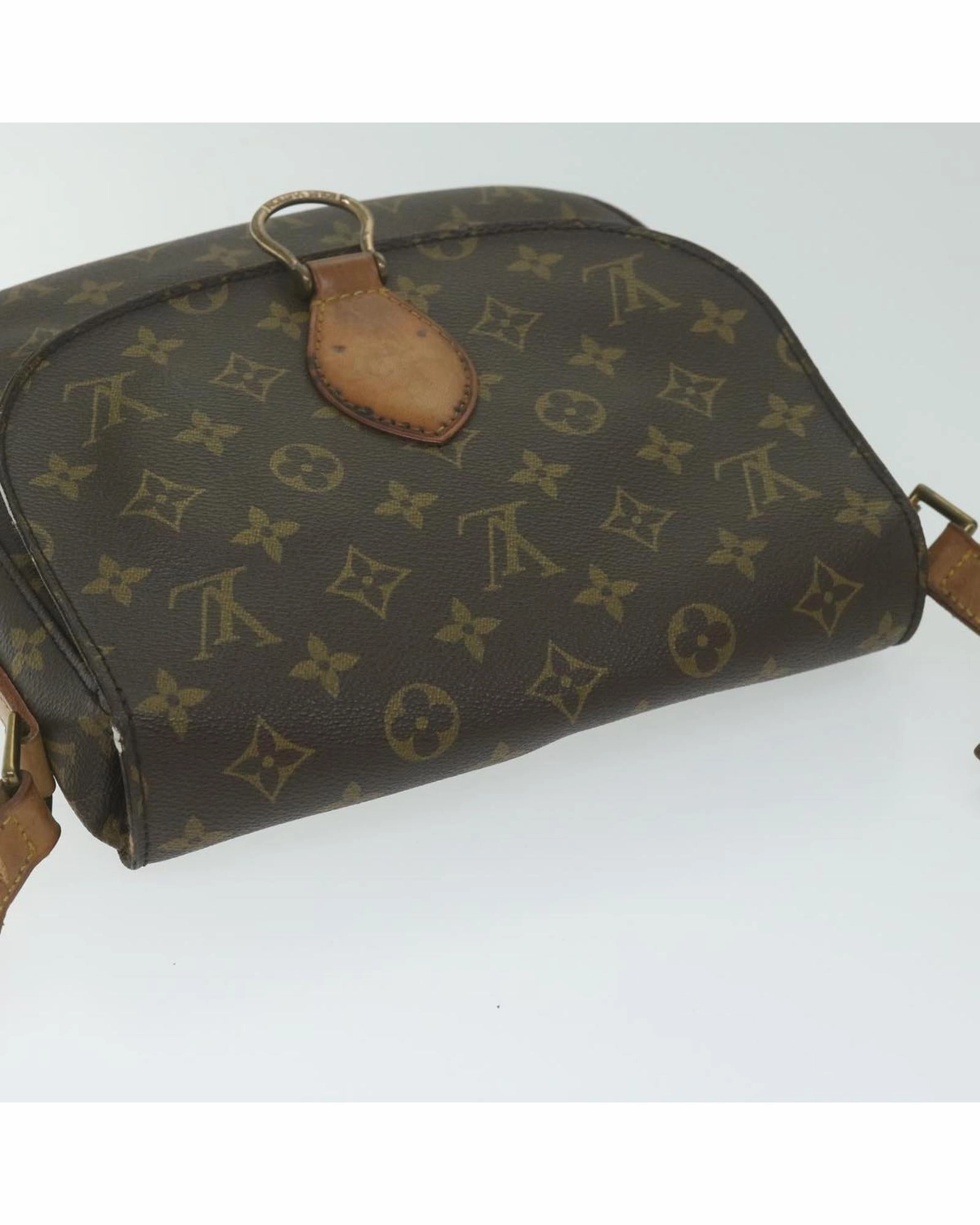 Monogram Canvas Postine Shoulder Bag