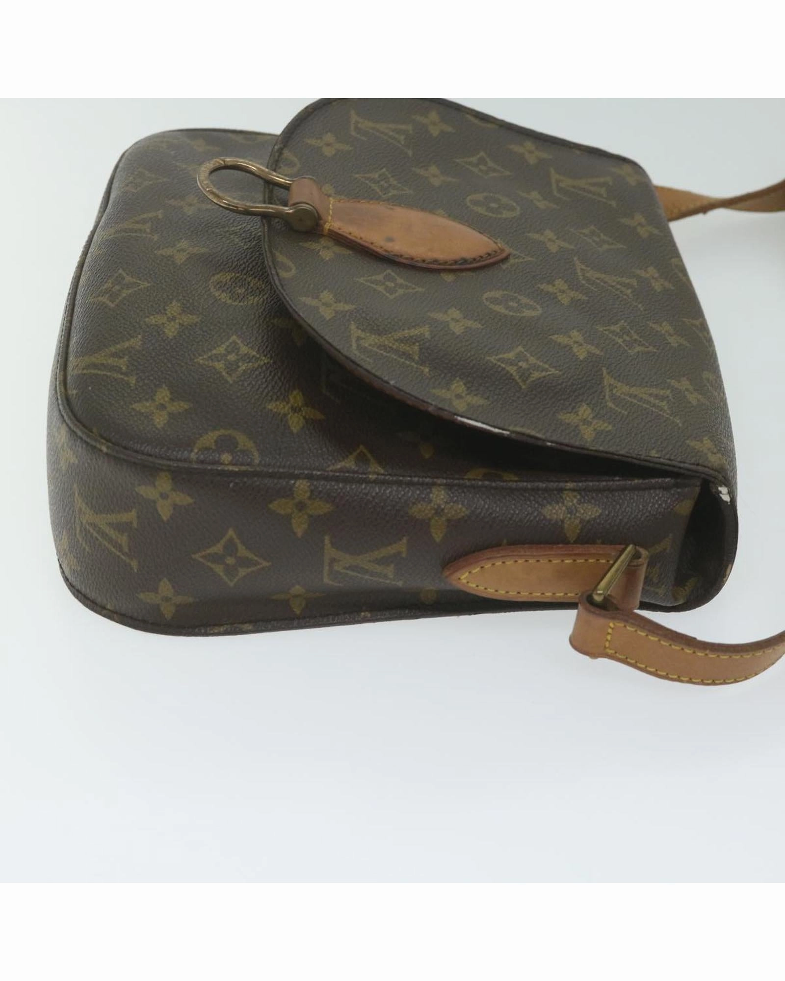 Monogram Canvas Postine Shoulder Bag