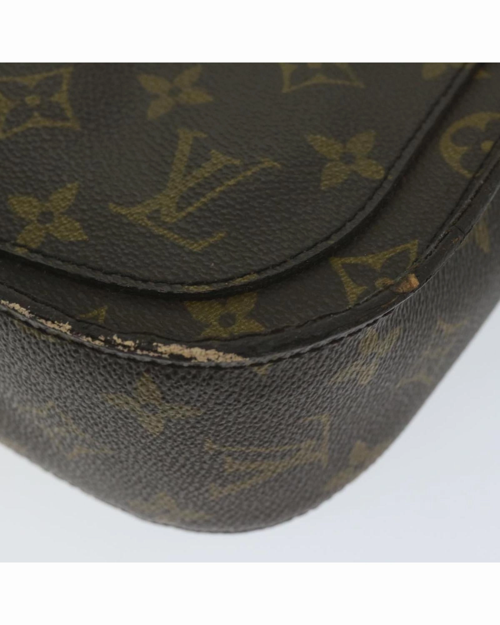 Monogram Canvas Postine Shoulder Bag