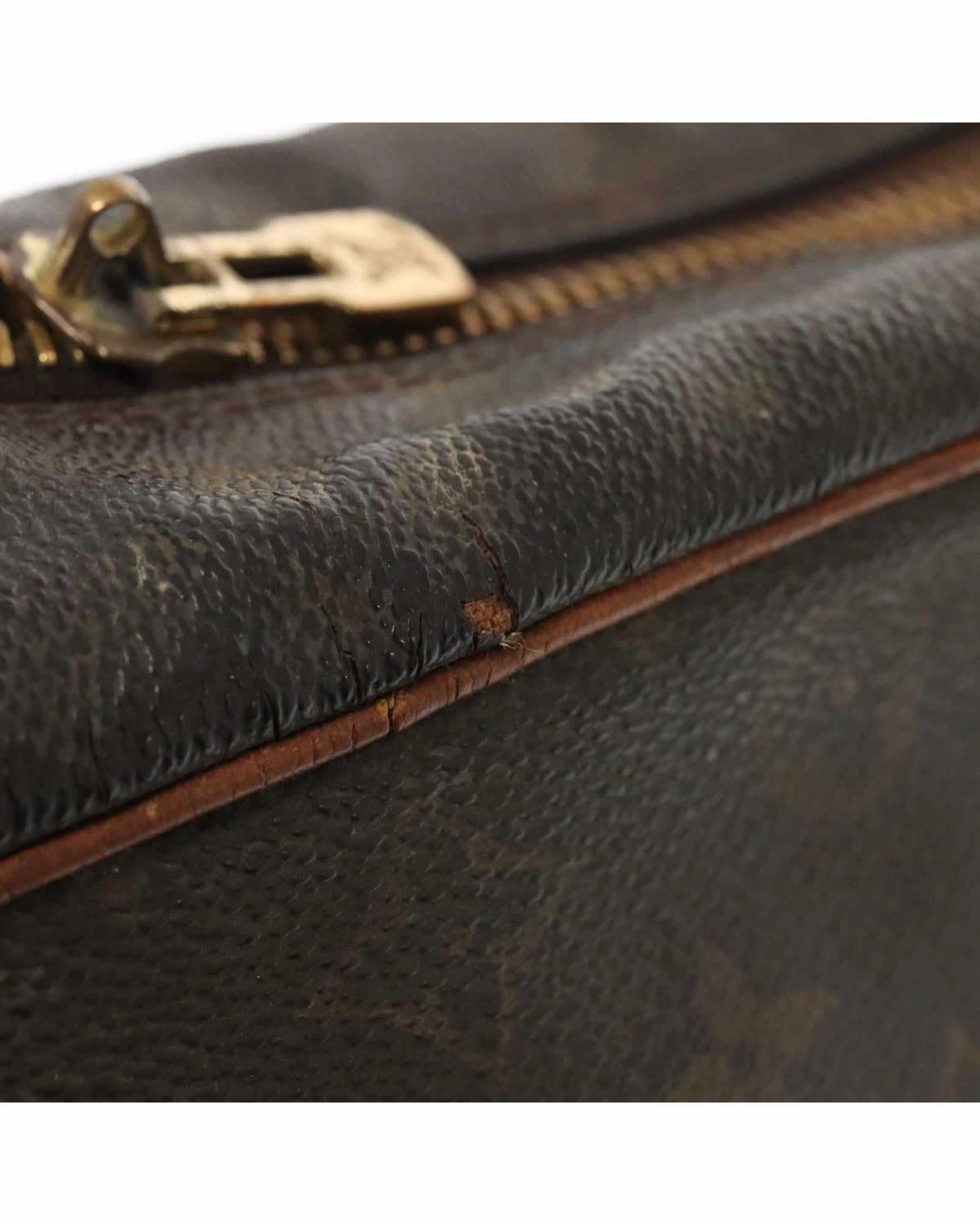 Monogram Canvas Reporter PM Shoulder Bag